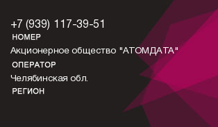 9391173951